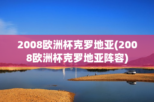 2008欧洲杯克罗地亚(2008欧洲杯克罗地亚阵容)