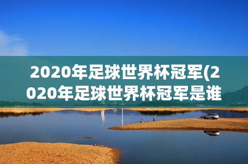 2020年足球世界杯冠军(2020年足球世界杯冠军是谁)