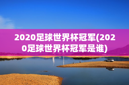 2020足球世界杯冠军(2020足球世界杯冠军是谁)