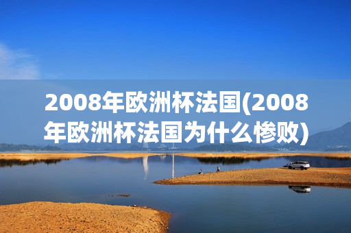 2008年欧洲杯法国(2008年欧洲杯法国为什么惨败)