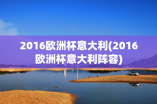 2016欧洲杯意大利(2016欧洲杯意大利阵容)