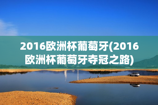 2016欧洲杯葡萄牙(2016欧洲杯葡萄牙夺冠之路)