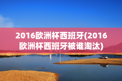 2016欧洲杯西班牙(2016欧洲杯西班牙被谁淘汰)