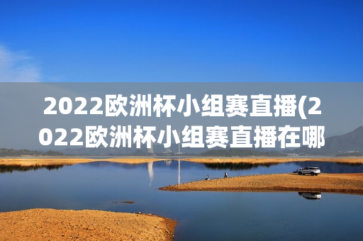 2022欧洲杯小组赛直播(2022欧洲杯小组赛直播在哪看)