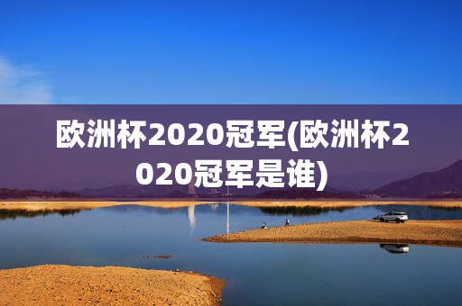 欧洲杯2020冠军(欧洲杯2020冠军是谁)