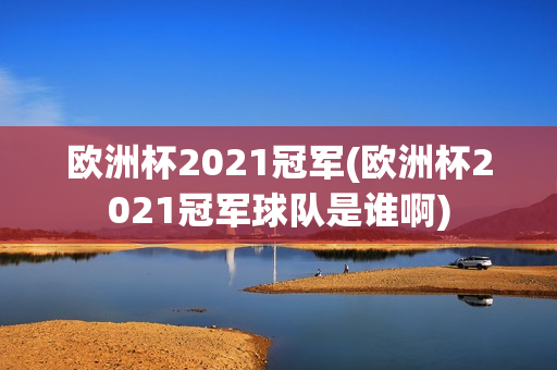 欧洲杯2021冠军(欧洲杯2021冠军球队是谁啊)