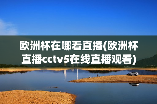 欧洲杯在哪看直播(欧洲杯直播cctv5在线直播观看)