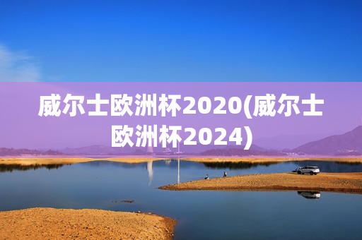 威尔士欧洲杯2020(威尔士欧洲杯2024)