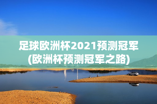 足球欧洲杯2021预测冠军(欧洲杯预测冠军之路)