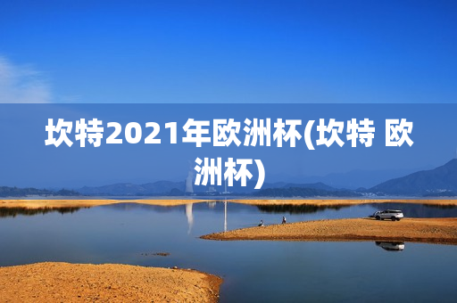 坎特2021年欧洲杯(坎特 欧洲杯)