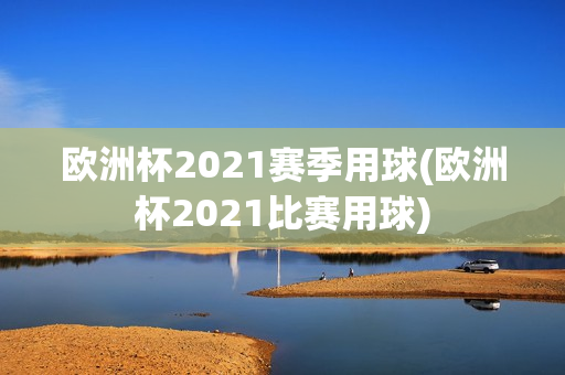 欧洲杯2021赛季用球(欧洲杯2021比赛用球)