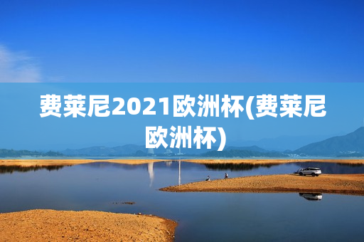 费莱尼2021欧洲杯(费莱尼 欧洲杯)