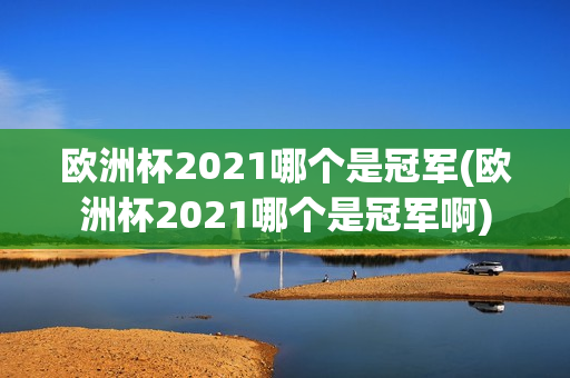 欧洲杯2021哪个是冠军(欧洲杯2021哪个是冠军啊)