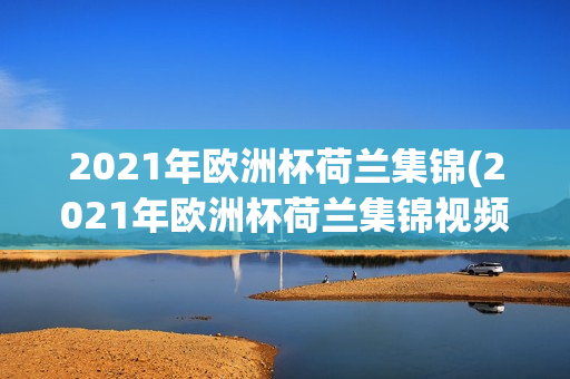 2021年欧洲杯荷兰集锦(2021年欧洲杯荷兰集锦视频)