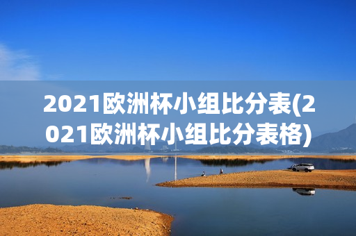 2021欧洲杯小组比分表(2021欧洲杯小组比分表格)