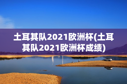 土耳其队2021欧洲杯(土耳其队2021欧洲杯成绩)