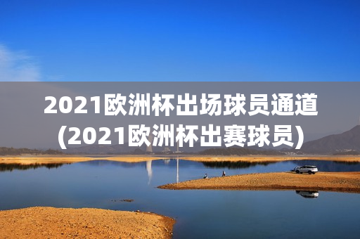 2021欧洲杯出场球员通道(2021欧洲杯出赛球员)