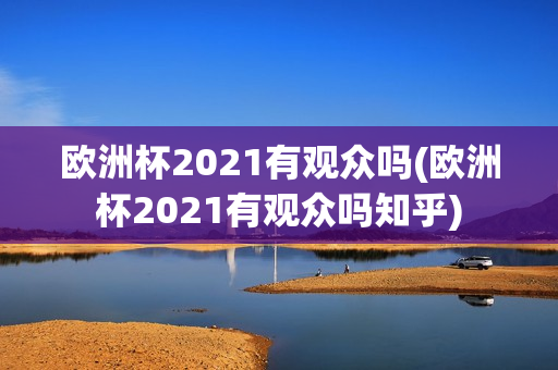 欧洲杯2021有观众吗(欧洲杯2021有观众吗知乎)