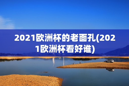 2021欧洲杯的老面孔(2021欧洲杯看好谁)