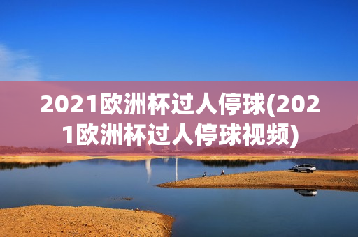 2021欧洲杯过人停球(2021欧洲杯过人停球视频)