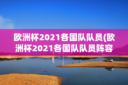 欧洲杯2021各国队队员(欧洲杯2021各国队队员阵容)