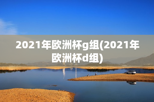 2021年欧洲杯g组(2021年欧洲杯d组)