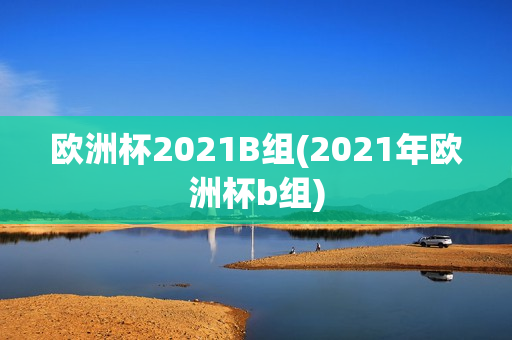 欧洲杯2021B组(2021年欧洲杯b组)