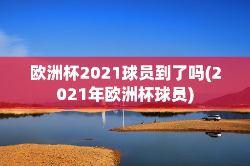 欧洲杯2021球员到了吗(2021年欧洲杯球员)