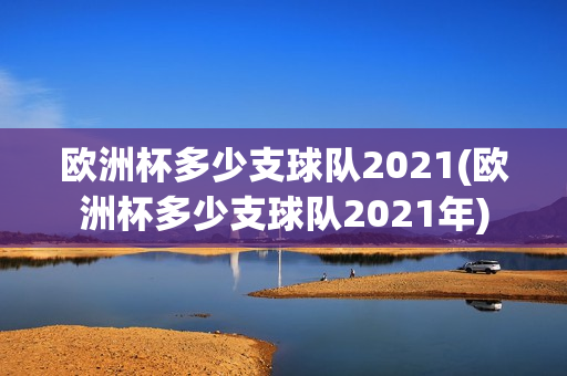 欧洲杯多少支球队2021(欧洲杯多少支球队2021年)