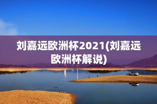 刘嘉远欧洲杯2021(刘嘉远欧洲杯解说)