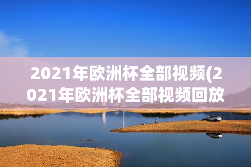 2021年欧洲杯全部视频(2021年欧洲杯全部视频回放)