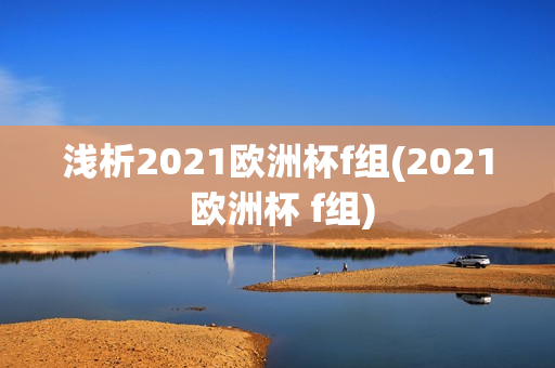 浅析2021欧洲杯f组(2021 欧洲杯 f组)