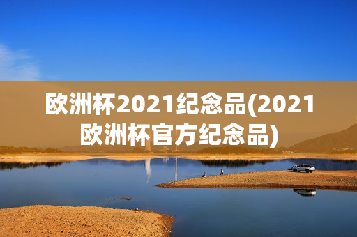 欧洲杯2021纪念品(2021欧洲杯官方纪念品)