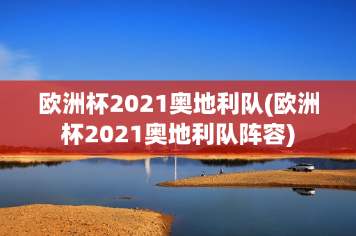 欧洲杯2021奥地利队(欧洲杯2021奥地利队阵容)