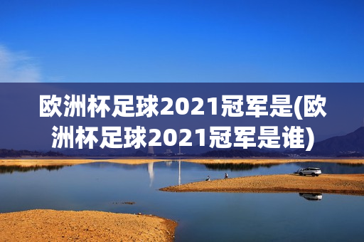 欧洲杯足球2021冠军是(欧洲杯足球2021冠军是谁)