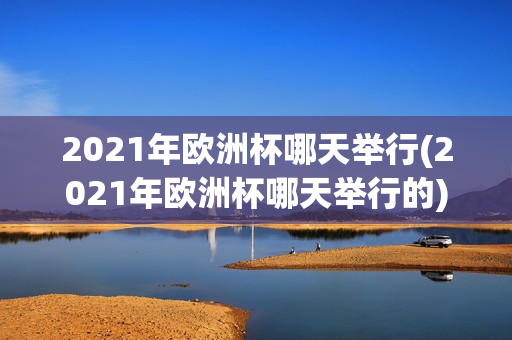 2021年欧洲杯哪天举行(2021年欧洲杯哪天举行的)