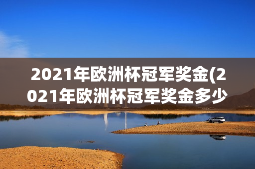 2021年欧洲杯冠军奖金(2021年欧洲杯冠军奖金多少)