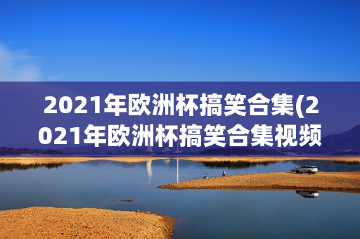 2021年欧洲杯搞笑合集(2021年欧洲杯搞笑合集视频)