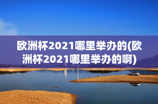 欧洲杯2021哪里举办的(欧洲杯2021哪里举办的啊)