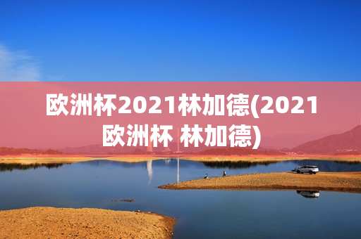 欧洲杯2021林加德(2021欧洲杯 林加德)