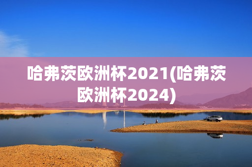 哈弗茨欧洲杯2021(哈弗茨欧洲杯2024)