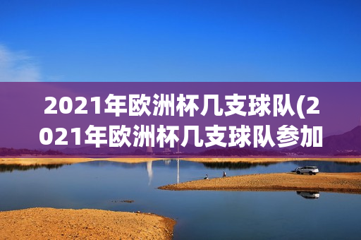 2021年欧洲杯几支球队(2021年欧洲杯几支球队参加)