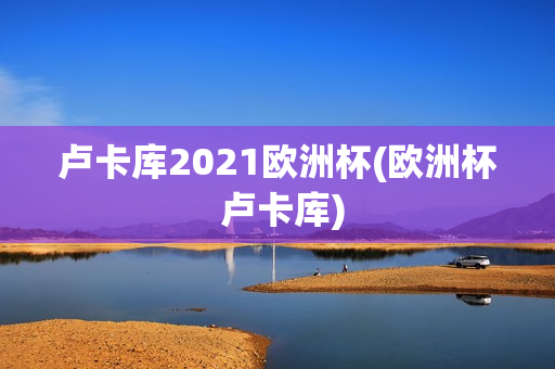 卢卡库2021欧洲杯(欧洲杯 卢卡库)