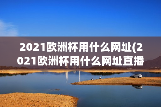 2021欧洲杯用什么网址(2021欧洲杯用什么网址直播)