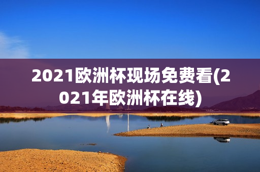 2021欧洲杯现场免费看(2021年欧洲杯在线)