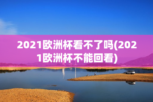 2021欧洲杯看不了吗(2021欧洲杯不能回看)