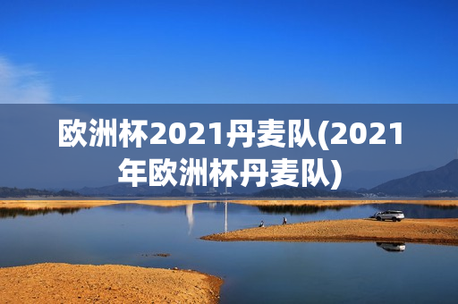 欧洲杯2021丹麦队(2021年欧洲杯丹麦队)