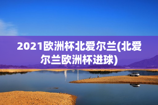 2021欧洲杯北爱尔兰(北爱尔兰欧洲杯进球)