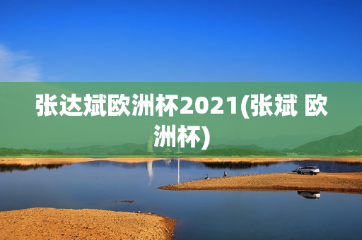 张达斌欧洲杯2021(张斌 欧洲杯)