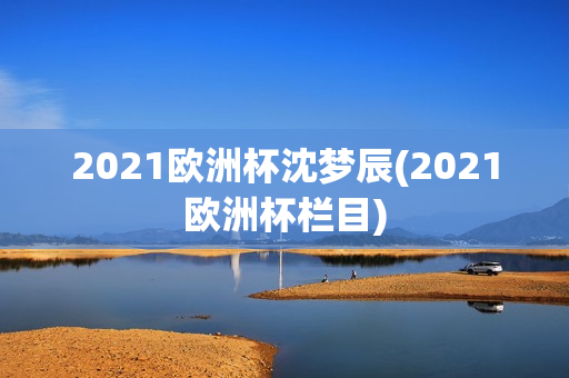 2021欧洲杯沈梦辰(2021欧洲杯栏目)